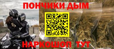 прущие грибы Кандалакша