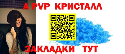 прущие грибы Кандалакша
