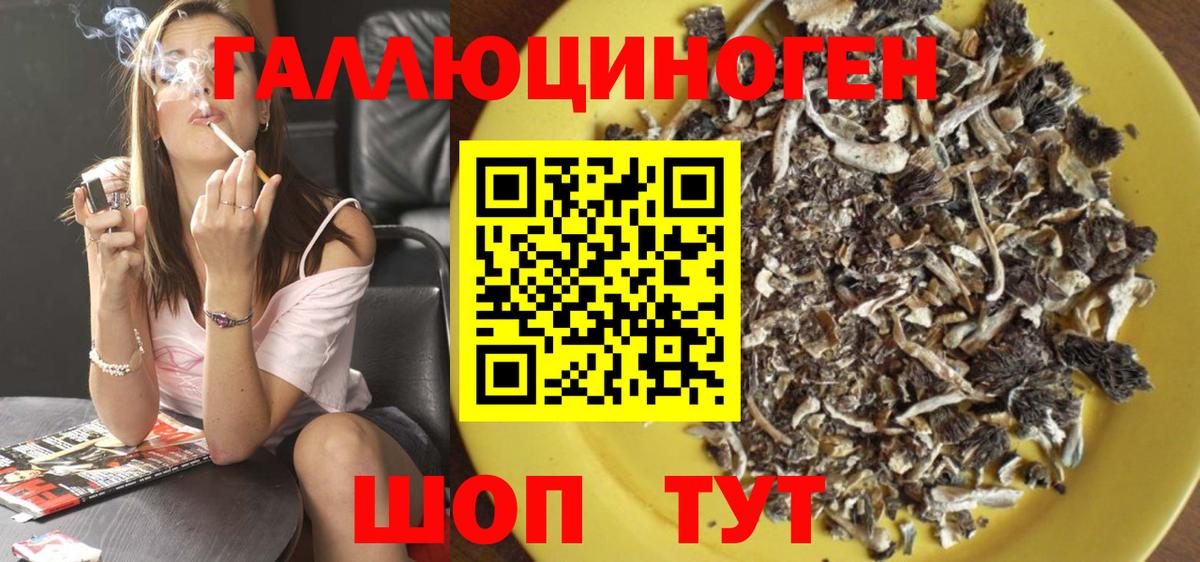 Ленинск-Кузнецкий  Галлюциногенные грибы GOLDEN TEACHER  Вход с VPN 