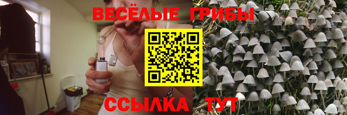 Псилоцибиновые грибы MAGIC MUSHROOMS Ленинск-Кузнецкий